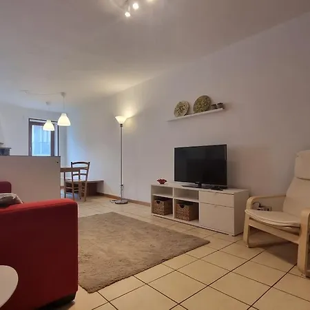 Boletus Sul Apartament Claino